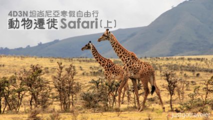 [2017坦尚尼亞] 動物遷徙·寒假自助旅遊(上)-馬賽、曼亞拉、塞倫蓋提 http://wp.me/p73WNJ-7Rd