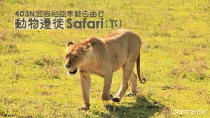 [2017坦尚尼亞] 動物遷徙·寒假自助旅遊(下)-Serengeti、Ngorongoro http://wp.me/p73WNJ-7UP